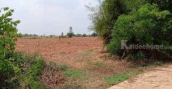 ขายที่ดิน 12ไร่ นส.3 หนองแปน มัญจาคีรี ขอนแก่น