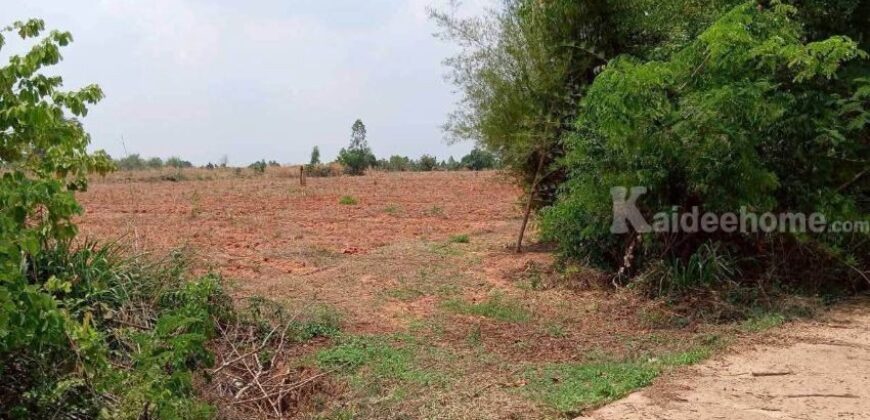 ขายที่ดิน 12ไร่ นส.3 หนองแปน มัญจาคีรี ขอนแก่น