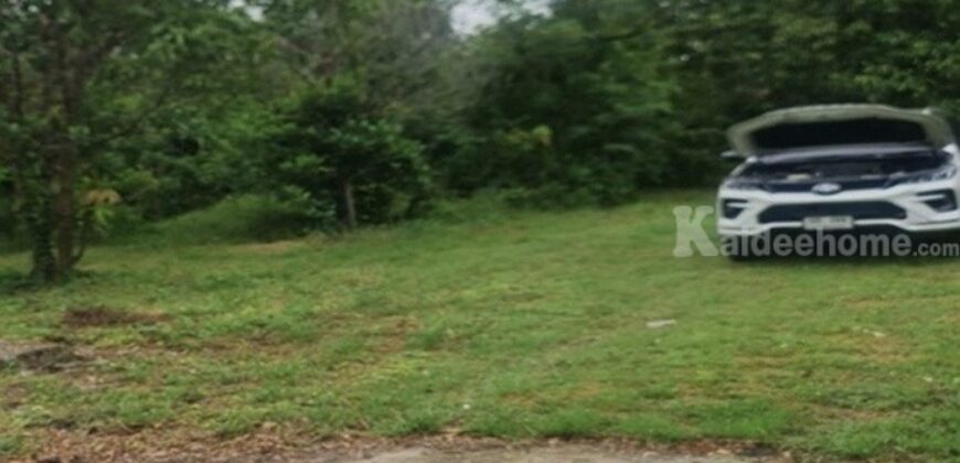 ขายที่ดิน 9 ไร่ ที่ถมแล้ว ต. ท่าวุ้ง จ. ลพบุรี