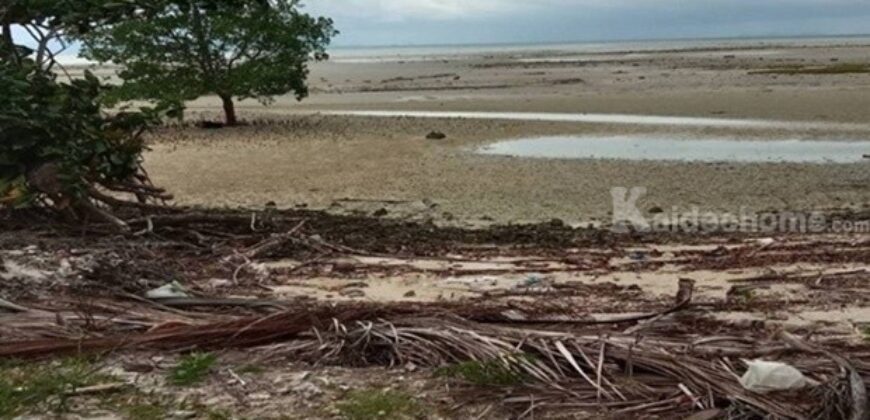 ขายที่ดิน 27 ไร่ แหลมสอ เกาะสมุย สุราษฎร์ธานี