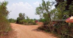 ขายที่ดิน 12ไร่ นส.3 หนองแปน มัญจาคีรี ขอนแก่น