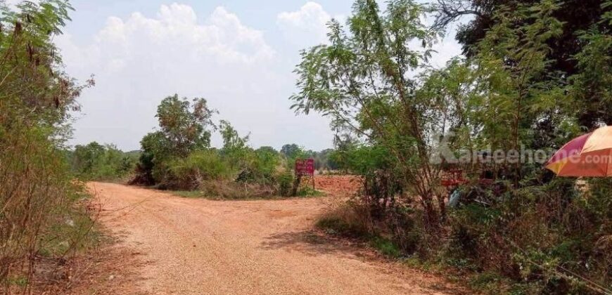 ขายที่ดิน 12ไร่ นส.3 หนองแปน มัญจาคีรี ขอนแก่น