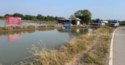 #ขายที่ดินดอนตูม #ขายที่ดินนครปฐม