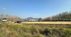 ขายที่ดินทำเลเด่น เขาวังม่าน นาตาขวัญ จ.ระยอง