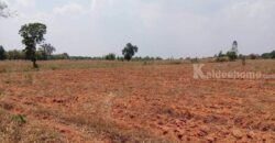 ขายที่ดิน 12ไร่ นส.3 หนองแปน มัญจาคีรี ขอนแก่น