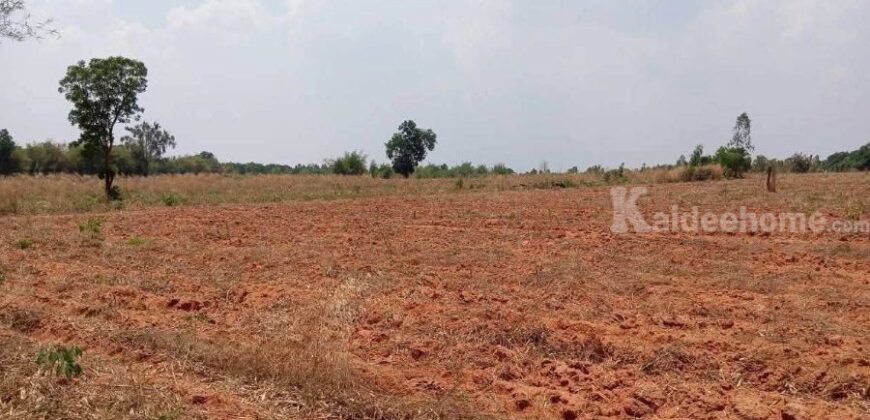 ขายที่ดิน 12ไร่ นส.3 หนองแปน มัญจาคีรี ขอนแก่น