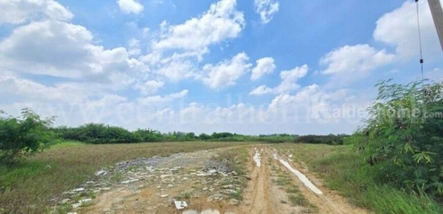 ที่ดิน ต.คลองโยง อ.พุทธมณฑล 10 ไร่ 1 งาน ถมเรียบร้อยแล้ว ใกล้ M 81