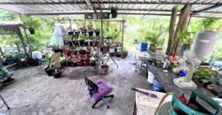 ขายโรงงาน สามพราน นครปฐม ใกล้ตลาดดอนหวาย เนื้อที่ 249 ตร.ว.
