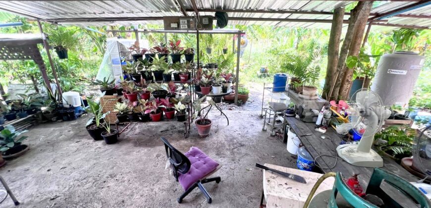 ขายโรงงาน สามพราน นครปฐม ใกล้ตลาดดอนหวาย เนื้อที่ 249 ตร.ว.